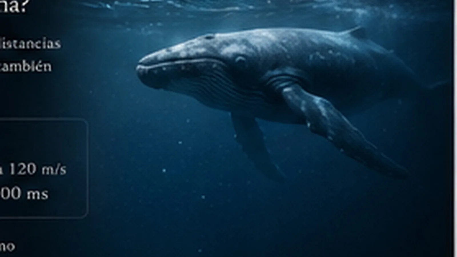 Ballena azul nadando en aguas profundas y oscuras